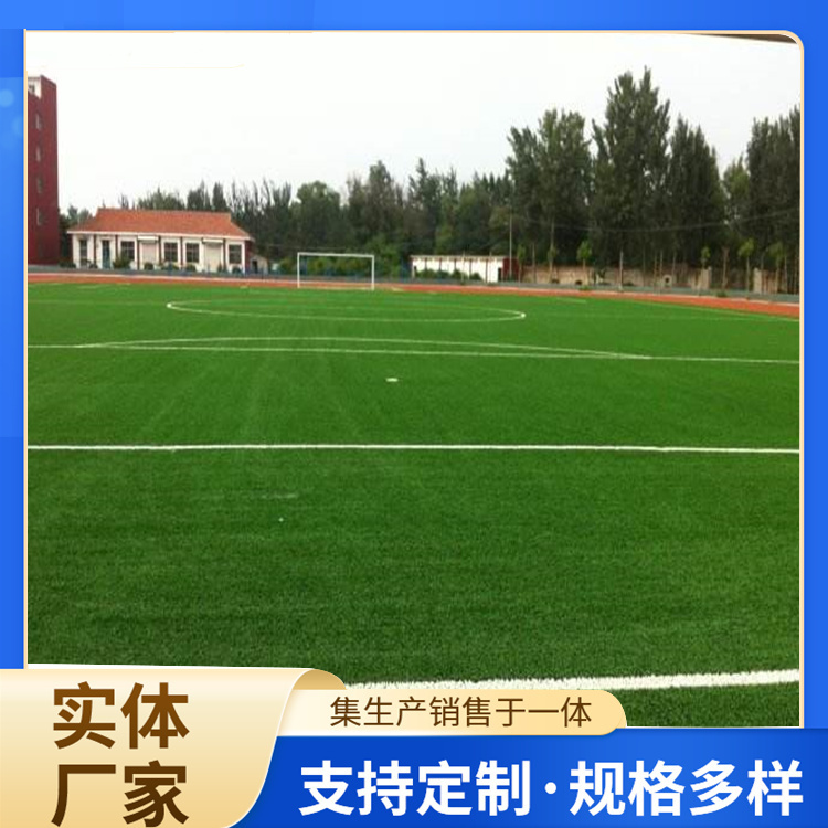 泰州市塑胶跑道材料人造草坪 - 价格